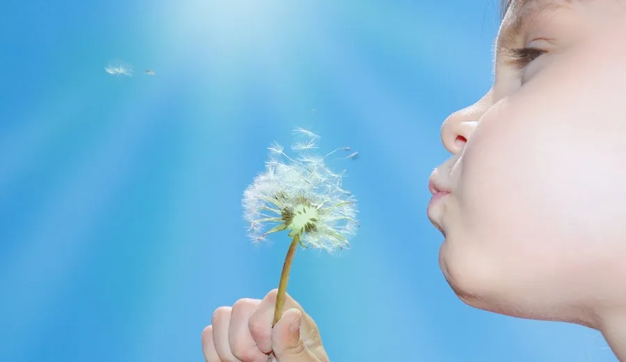 Diyafram Nefesi FOTO: Diyafram Nefesi