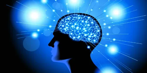 Hafıza Geliştirme Teknikleri FOTO: Hafıza Geliştirme Teknikleri